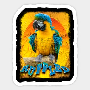 Ruffled Parrot Sticker